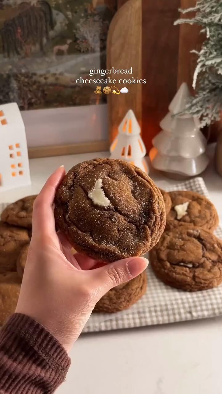 Cinnamon Sugar Christmas Cookie