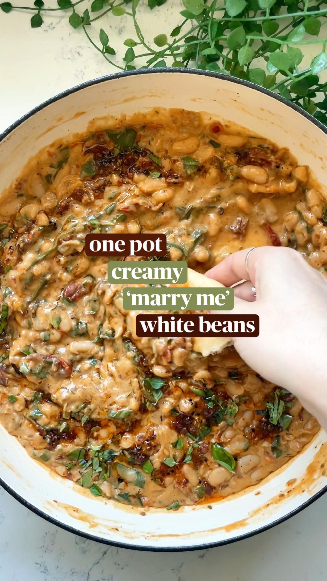 Hearty Lentil & Sweet Potato Chili