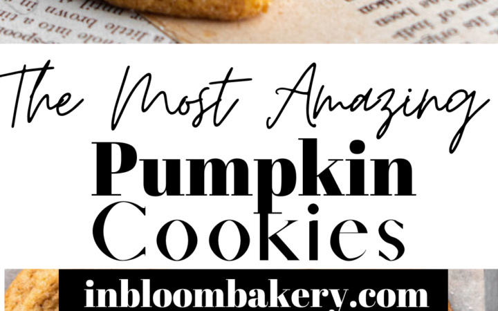 chewy pumpkin cookies recipe