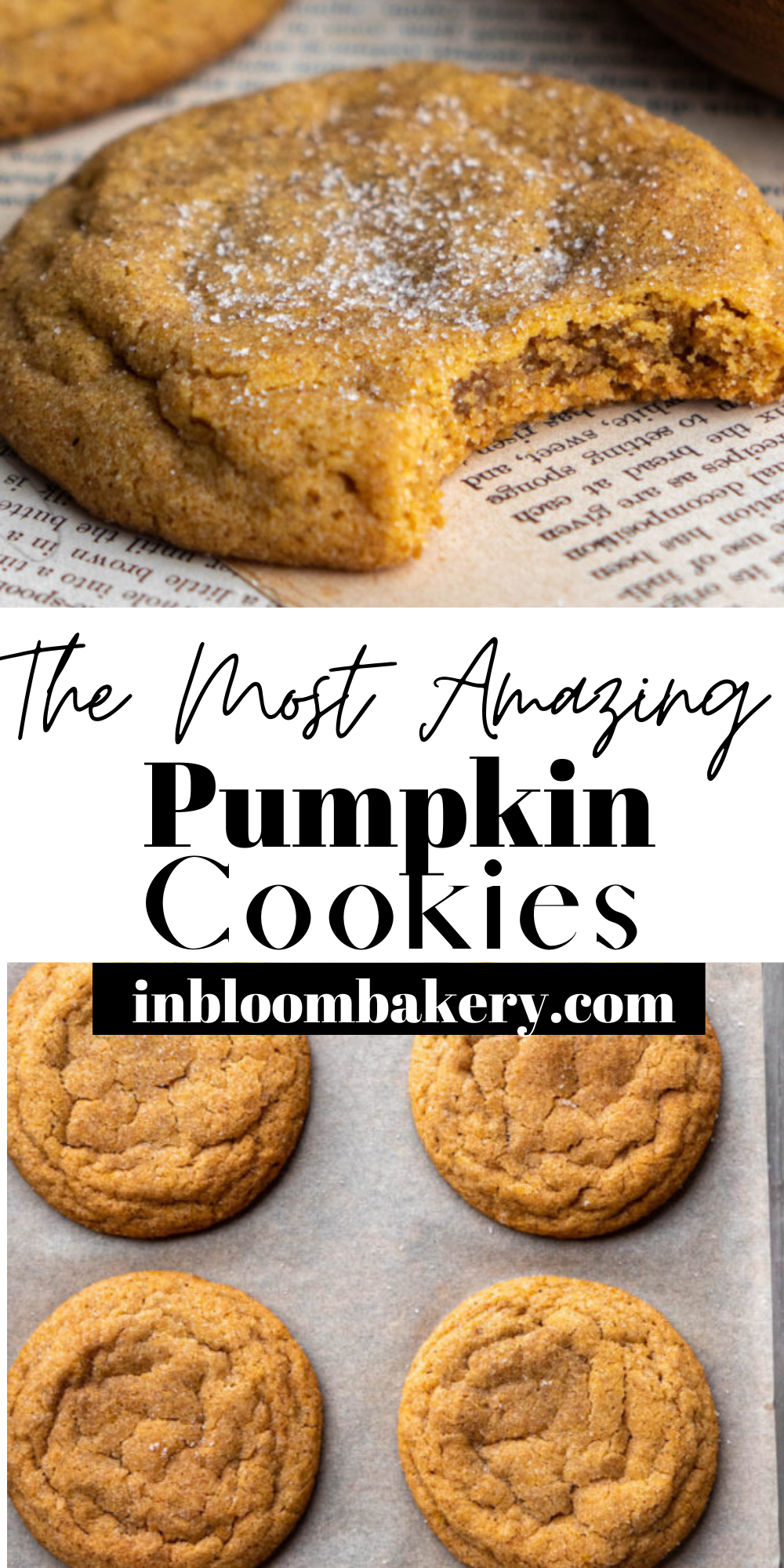 Chewy Pumpkin Cookies