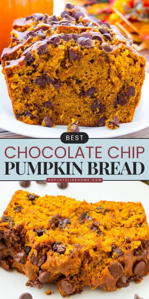 moist pumpkin chocolate chip bread