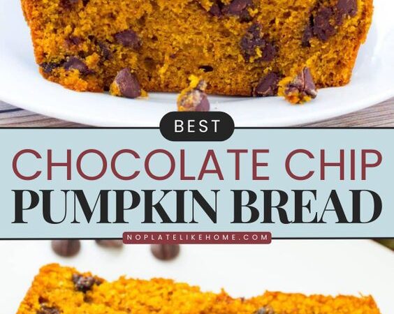 moist pumpkin chocolate chip bread