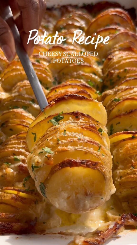 scalloped potatoes recipe