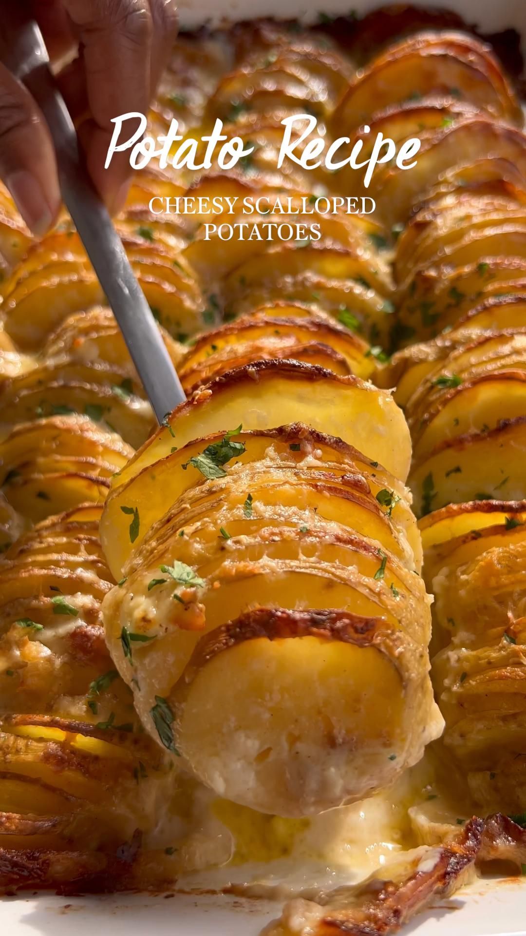 Scalloped Potatoes