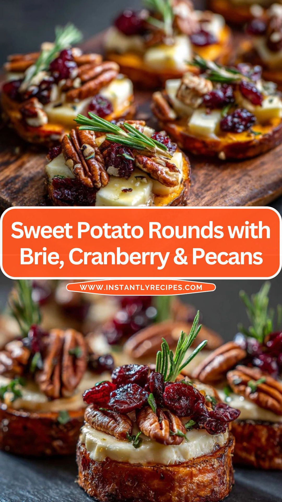 Brie Cranberry