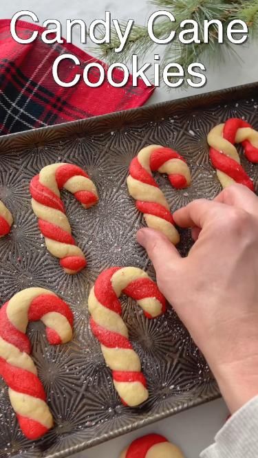 candy cane cookies recipe